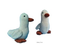 ente  Quaks